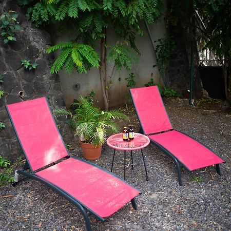 Le Bambou T3 Centre Ville Sainte Clotilde Rez De Jardin Bois de Nefles  Ngoại thất bức ảnh