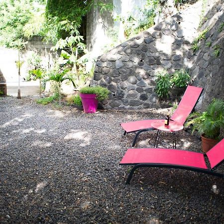 Le Bambou T3 Centre Ville Sainte Clotilde Rez De Jardin Bois de Nefles  Ngoại thất bức ảnh