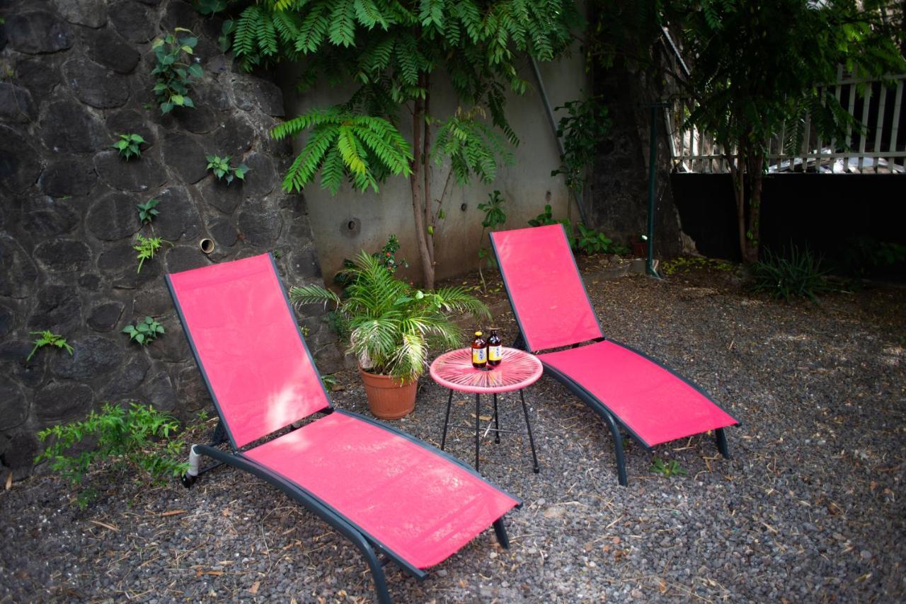Le Bambou T3 Centre Ville Sainte Clotilde Rez De Jardin Bois de Nefles  Ngoại thất bức ảnh